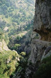 Arcea Hotel Mirador de Cabrales