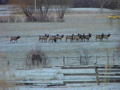 The Darby Bed & Breakfast