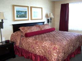 BEST WESTERN PLUS Vineyard Inn & Suites