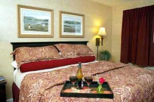 BEST WESTERN PLUS Vineyard Inn & Suites