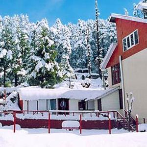 Vardaan Resorts Patnitop