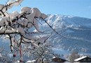 Gastehaus Bergstuberl Reit im Winkl