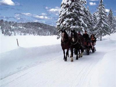 Hotel Alpenrose Mittenwald