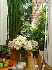 Cotterville Homestay Bed & Breakfast Melbourne