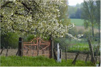 De Heurwinning Bed And Breakfast Tongeren