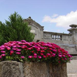 Hotel Rural Quinta Da Vista Alegre Freamunde