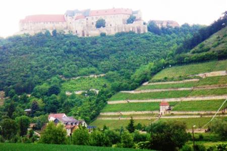 Hotel am Weinberg