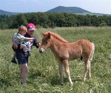 Ferienpension Zum Hochscheid