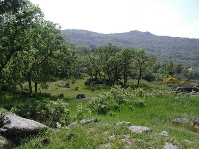 Quinta do Marvao