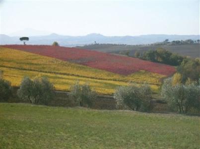 Agriturismo Villa La Morina Cortona