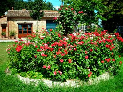 Agriturismo Villa La Morina Cortona