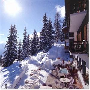 Ferienhotel Waldhaus Bettmeralp