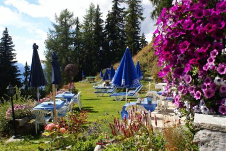 Ferienhotel Waldhaus Bettmeralp