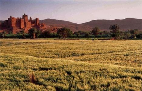 Dar Bladi Hotel Ouarzazate