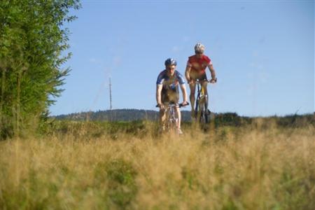 Gasthof Pension Cafe Wiesengrund