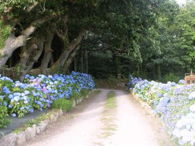 Auberge De Bel Air Bed and Breakfast Breles