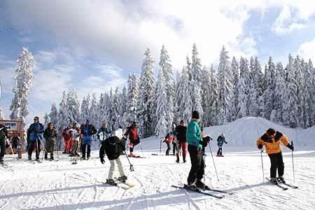 Bauernhof Hinterfischbach Vacation Homes Radstadt