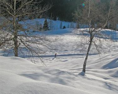 Kraners Alpenhof Hotel Weissensee