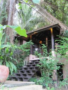 Tropical Herbal Spa & Resort