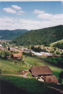 Waldebauernhof Hotel Gutach