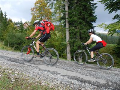 Gasthof Hirschen Sibratsgfall