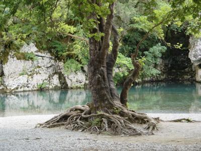 Gamila Rocks Adventure Resort Central Zagori