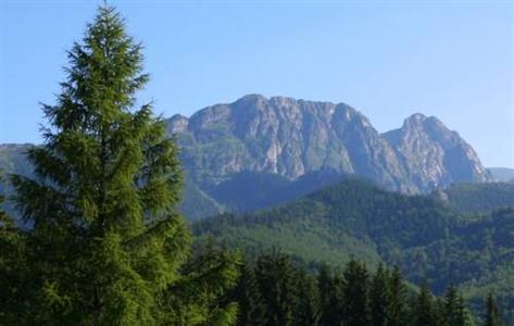 Visitzakopane City Apartments