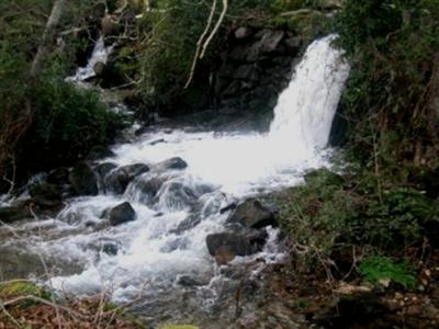 Quinta do Lagar da Moira Gouveia