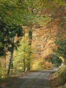 Briar Barn Accommodation Fort Augustus