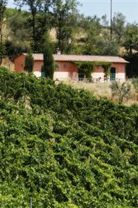 Tenuta San Vito Cottages Montelupo Fiorentino