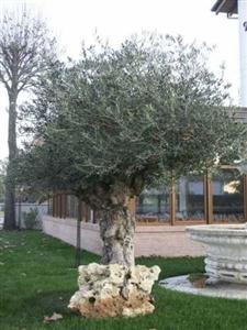 Hotel Garden Ferrara