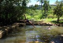 Pousada Sítio dos Tucanos Florianopolis