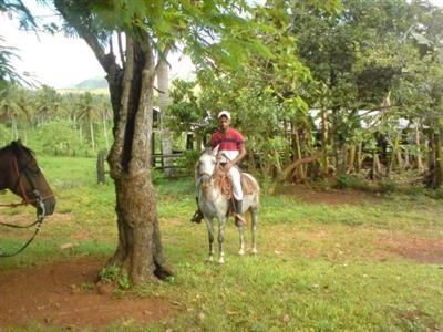 Rincon Eco Lodge Hotel Las Terrenas