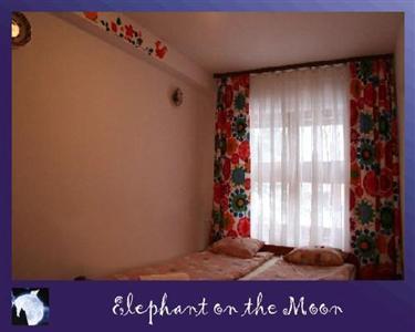 Elephant on the Moon Hostel