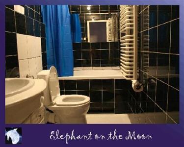 Elephant on the Moon Hostel