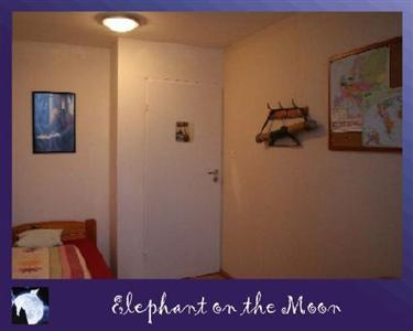 Elephant on the Moon Hostel