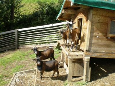 Jugend und Familienhotel Venedigerhof