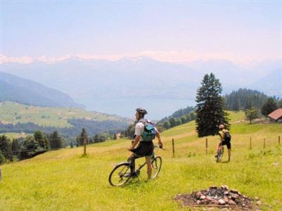 Hotel-Gasthof Rothorn