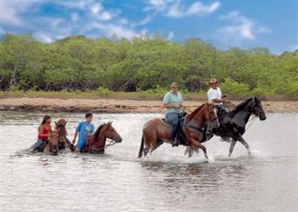 Xales de Maracaipe