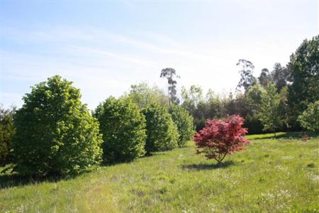 Quinta De Faraz