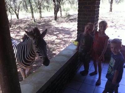 Le Roux Lodge Marloth Park