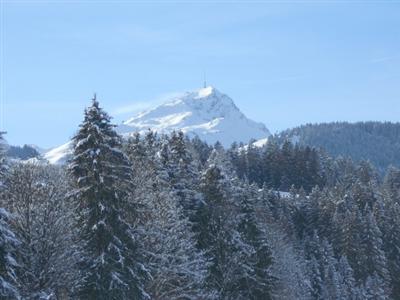 Haus Sonntal Appartement Fieberbrunn