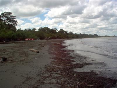 Hotel Tortuguilla Plaza