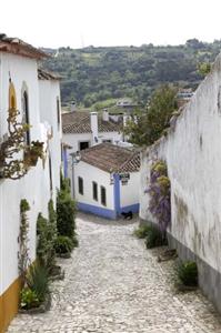 Casal Da Eira Branca Apartments Obidos