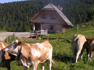 Gasthof Rieseralm