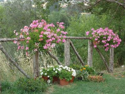 Agriturismo Il Colle Arezzo