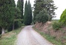 Agriturismo Fattoria Di Gratena Arezzo