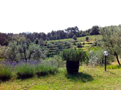 Agriturismo Fattoria Di Gratena Arezzo