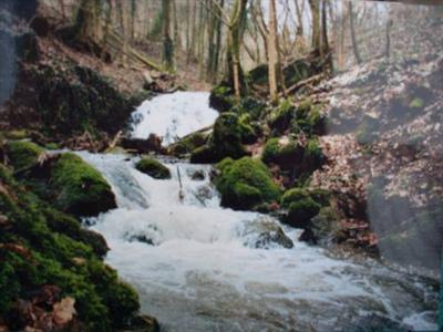 Ferienwohnungen Ußbachtal