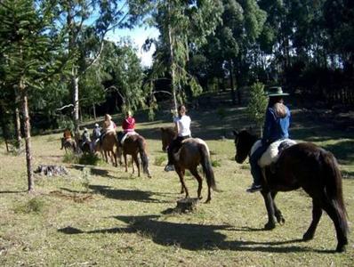 Hotel Fazenda Pampas